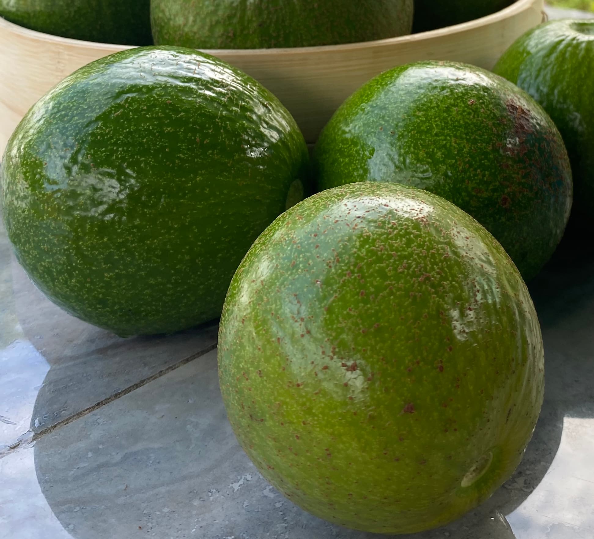 Fresh avocado fruit