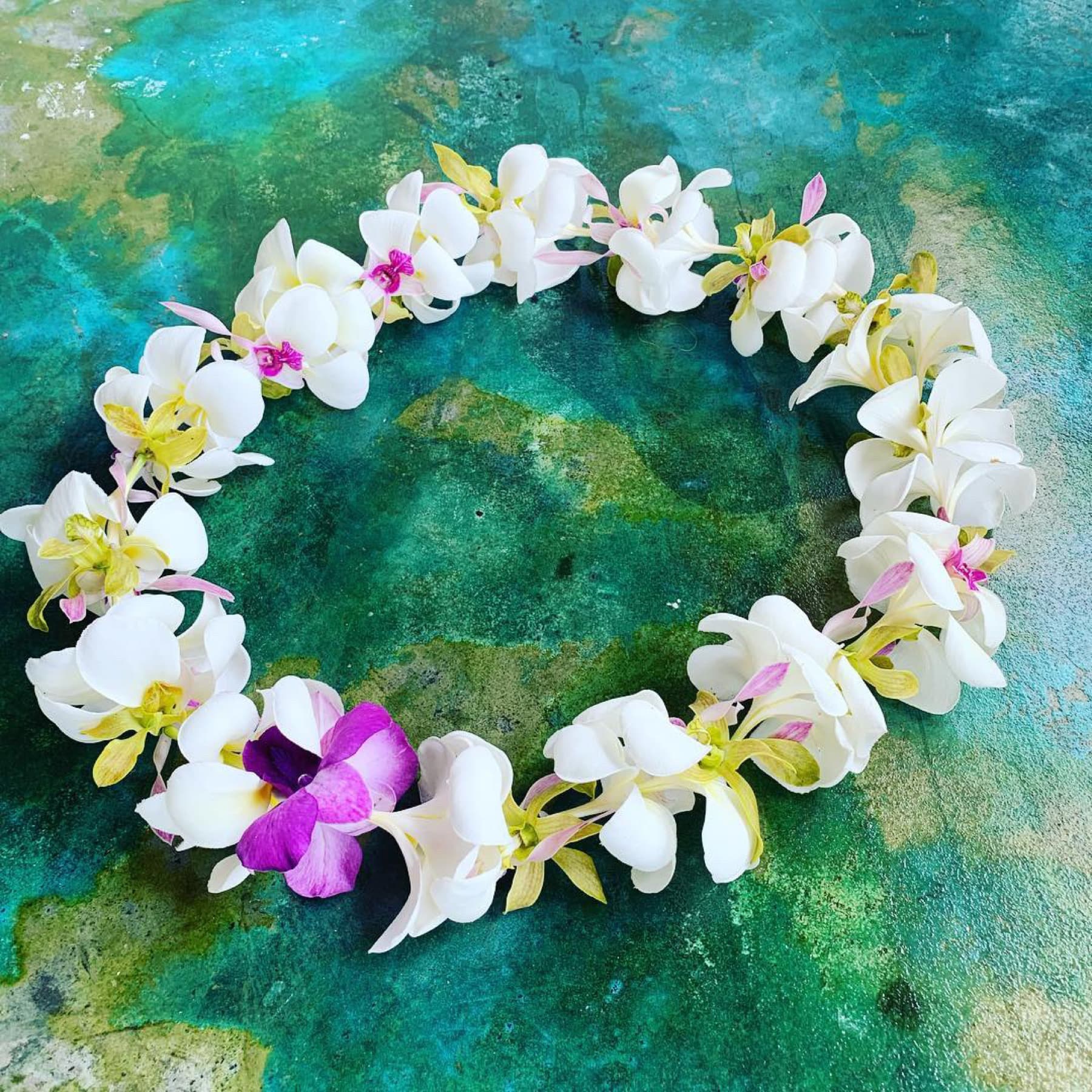 White orchid lei on a teal surface